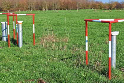 Foto: Land &Forst Foto. Land & Forst
