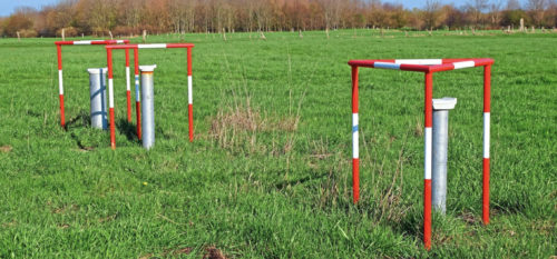Foto. Land & Forst