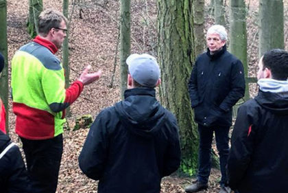 Wald 2 web