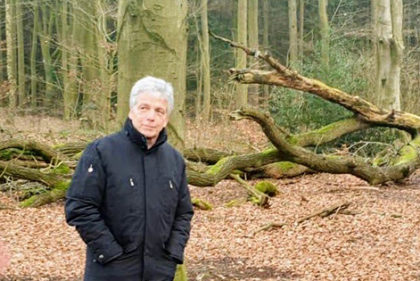 Wald
