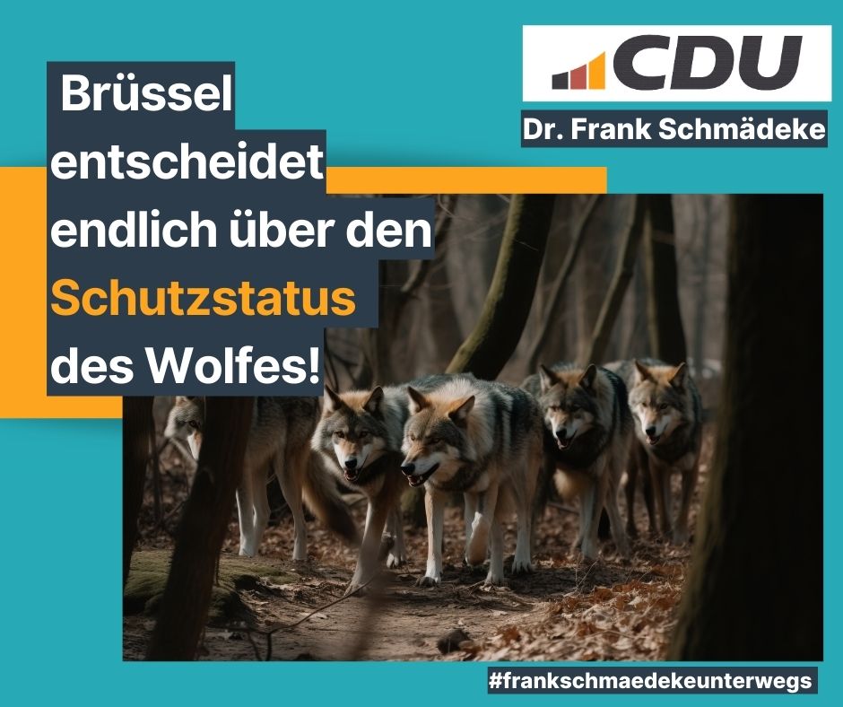 Brüssel ändert Schutzstatus für den Wolf