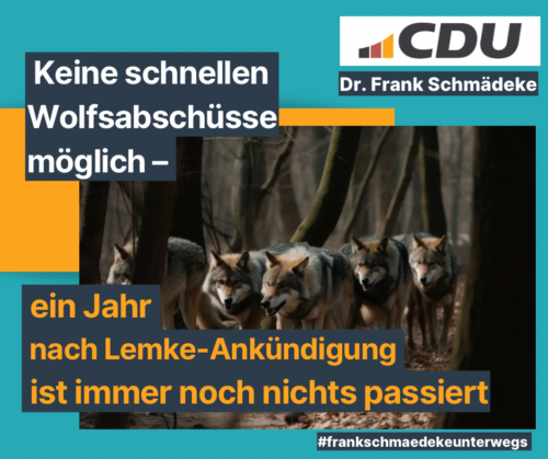 Keine schnellen Wolfsabschüsse möglich