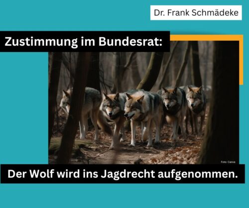 Bundesrat beschließt Aufnahme des Wolfs ins Jagdrecht – wichtiger Schritt für ein wirksames Wolfsmanagement