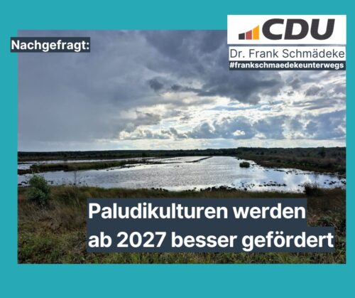 Paludikulturen werden ab 2027 besser gefördert